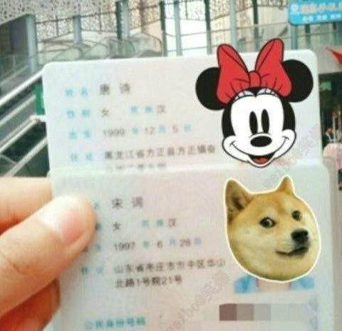史上最搞笑的名字大全