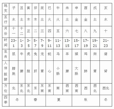 已亥五行属什么