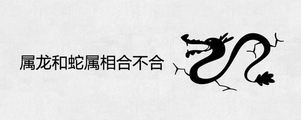 属龙和属蛇的合不合