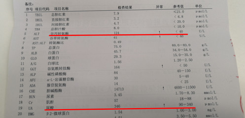 婚检和全身检查多少钱