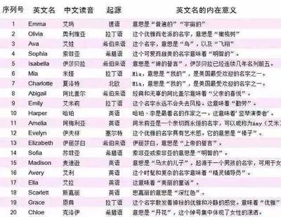 圆圆名字的寓意