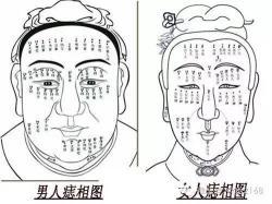 女人怎么看面相
