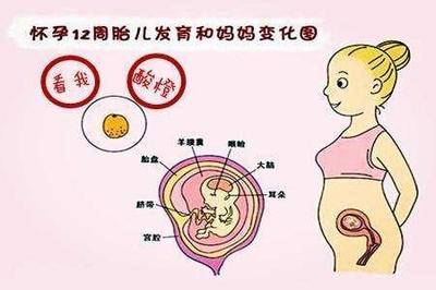 4个方法判断是否怀孕