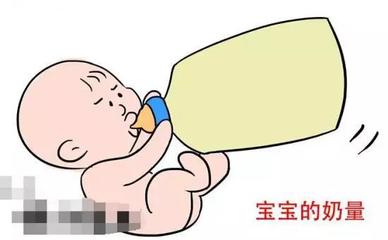 宝宝6个月奶量