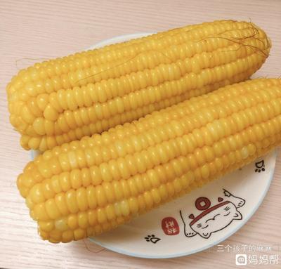 9个月宝宝能吃玉米吗