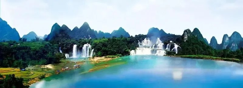 bob引导计划相关图片