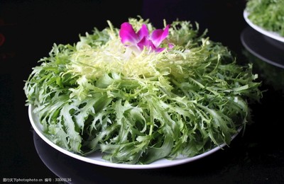 炝苦菊的做法大全家常