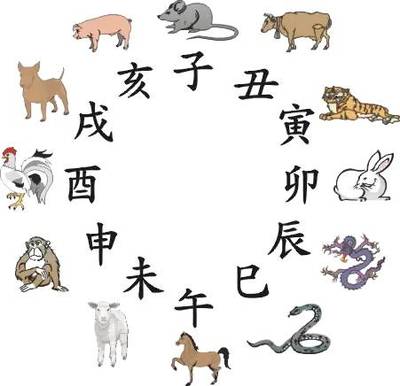 属相狗和鼠合不合