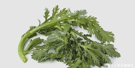咳嗽可以吃茼蒿吗