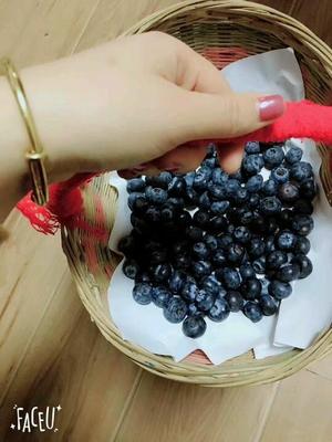 一岁宝宝可以吃蓝莓吗