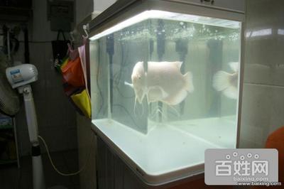 廈門市湖里區(qū)福之蝦水族經(jīng)營部（廈門雙涵路水族批發(fā)市場）