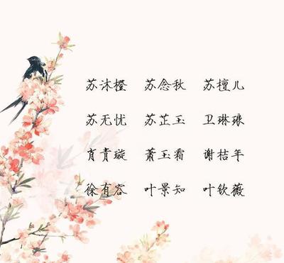 苏什么好听名字男