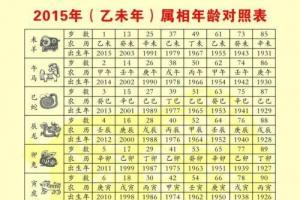 乙未年是什么命