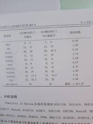 亲子鉴定结果样本