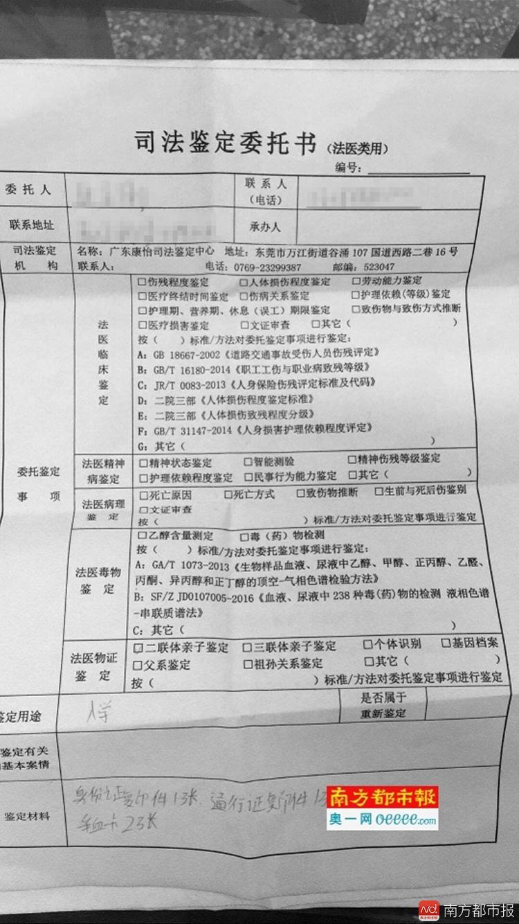 亲子鉴定报告书样本