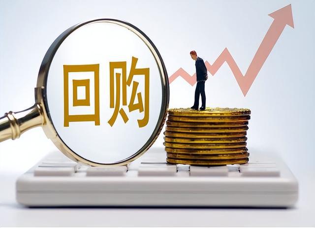 大股东损害小股东利益