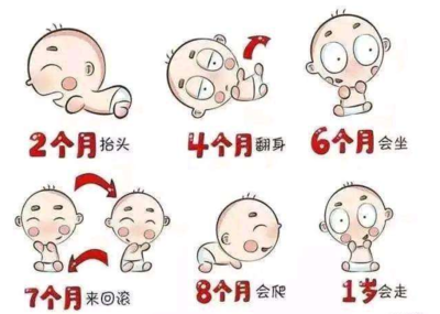 几个月会抬头