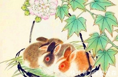 53年属什么生肖多大