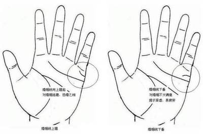 婚姻线4条