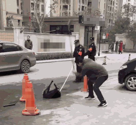 城管抓狗合法吗