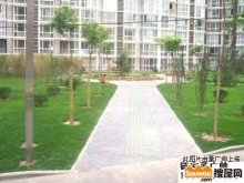 丽景馨园房价,金域新苑小区房价