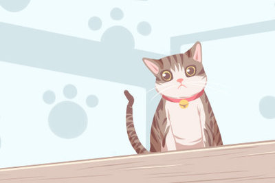 周公解梦梦见给猫洗澡