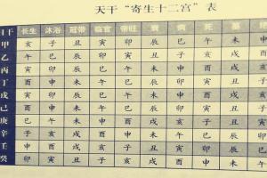 八字 命宫