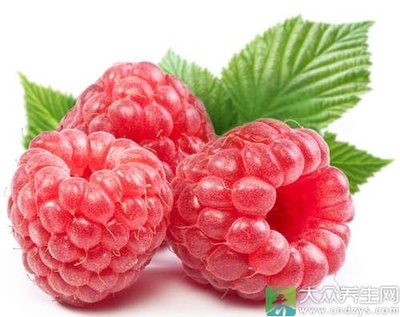 孕妇能吃树莓吗
