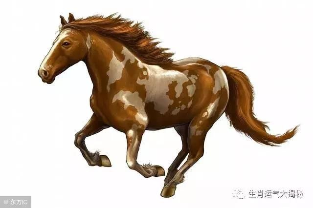 属马未来5年运势走向