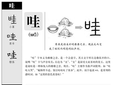 康字五行属什么