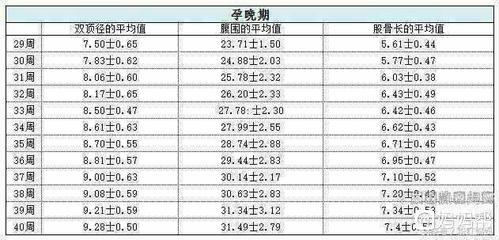 孕妇24周双顶径多少正常