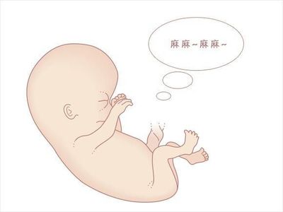 胎儿会拉屎吗