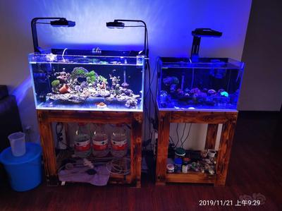 海水缸底滤设计图