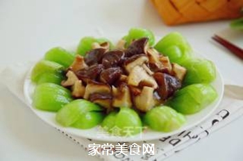 油菜蚝油炒香菇