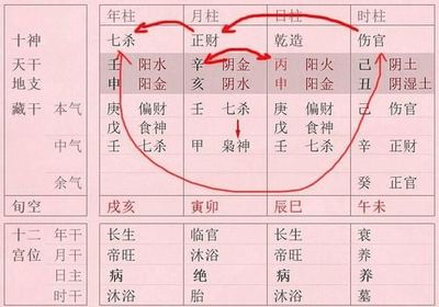 女命伤官格什么意思