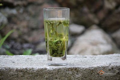 茶叶结石