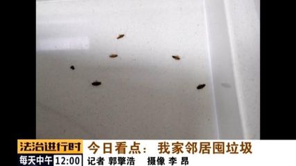 厨房厕所有蟑螂怎么办