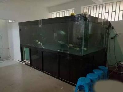 西華縣謝欣欣水族花卉店（西華縣謝欣欣水族花卉店地址）