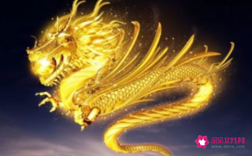 属龙几月份出生好
