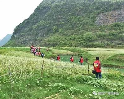 隆安县更望湖旅游攻略