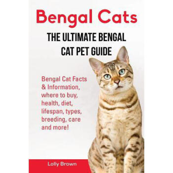 bengal cat size