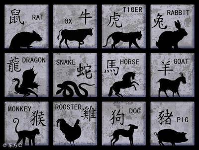 12生肖下周运势播报
