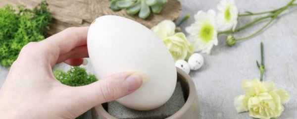 孕妇能吃鹅蛋吗