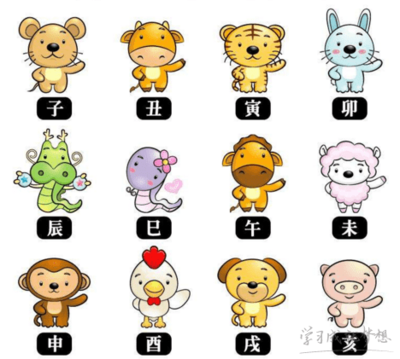 今日相冲生肖是什么