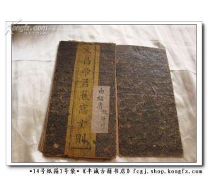 小鸟依人的女人的性格