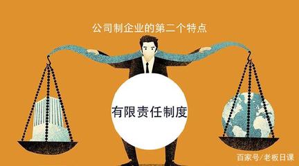法人和股东承担的责任