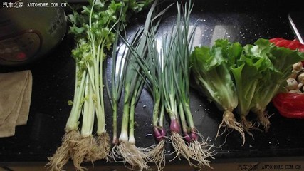 葱的寓意是什么意思