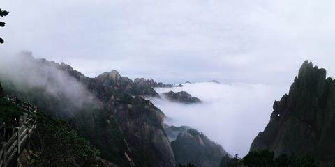 真的领会到了望峰息心、窥谷忘反