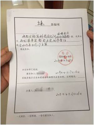 立案回执单
