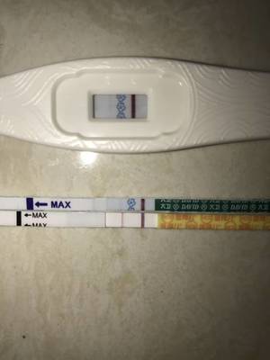 刚怀孕流血